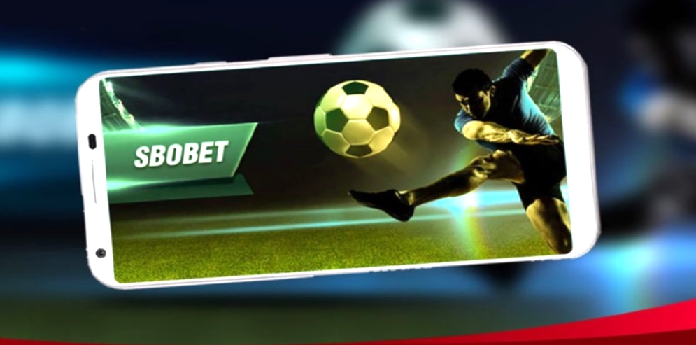 giới thiệu sbobet kubet